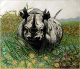 Rhino 1, Oil pastel on paper by Filip Finger
